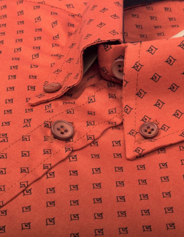 Camisa Terracota Manga Larga Miniprint Hojas Negras - Moldería informal